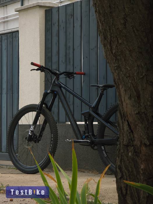 Canyon strive CF carbon