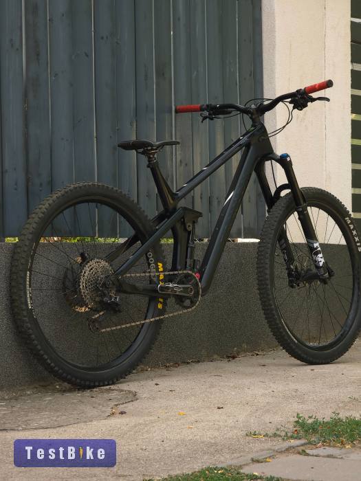 Canyon strive CF carbon