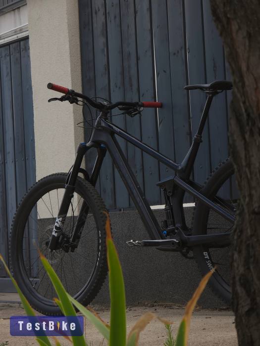 Canyon strive CF carbon