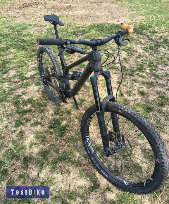 Canyon Torq 2020 Carbon