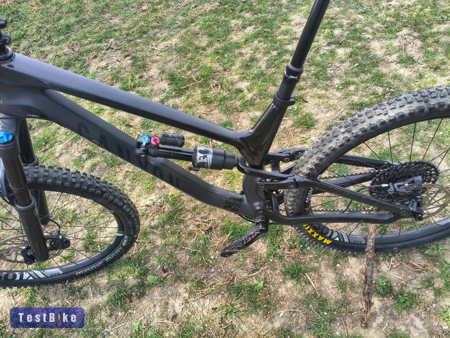 Canyon Torq 2020 Carbon