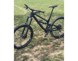 Canyon Torq 2020 Carbon