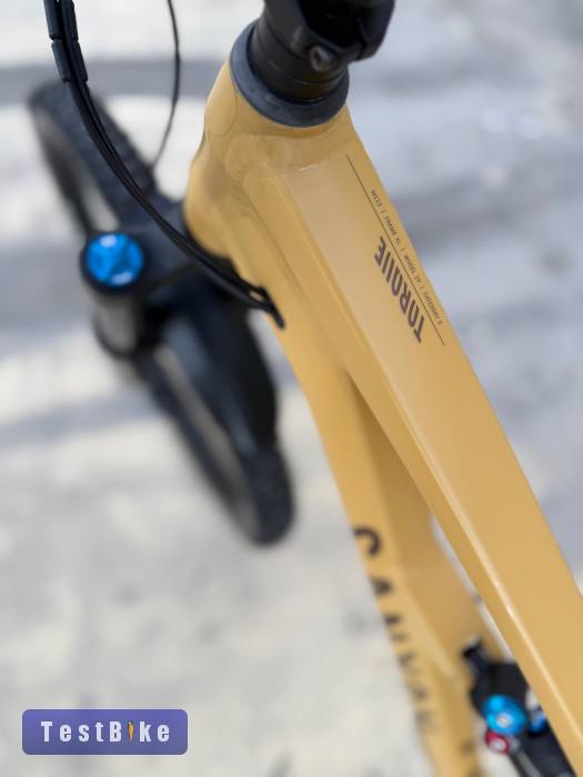 Canyon Torque - Fox/SLX