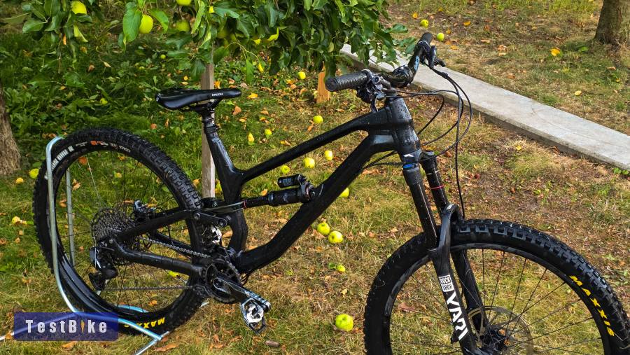 Canyon Torque AL 5.0 2020 (L-es)