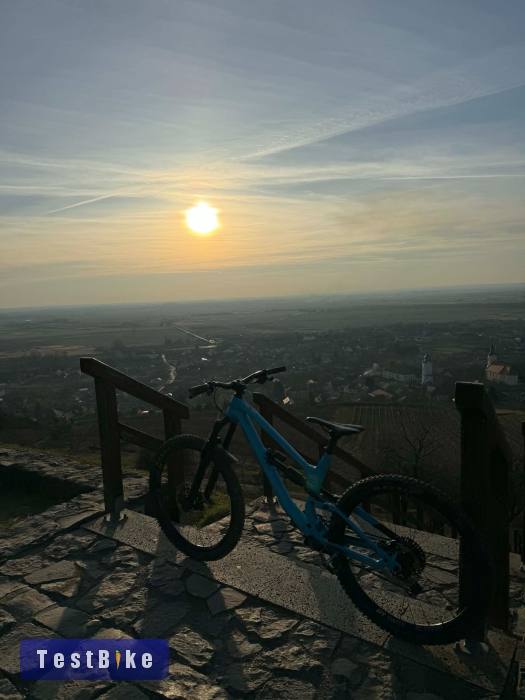 Canyon Torque AL5 "M"