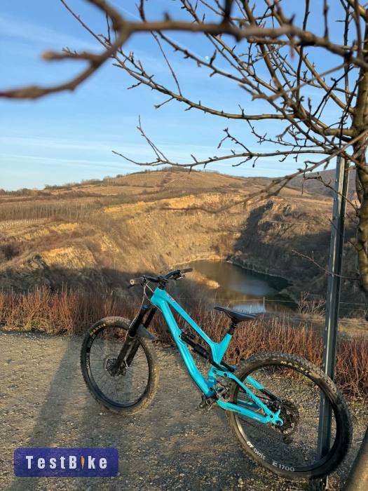 Canyon Torque AL5 "M"