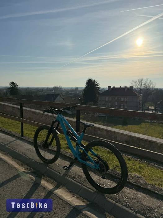 Canyon Torque AL5 "M"