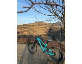 Canyon Torque AL5 "M"