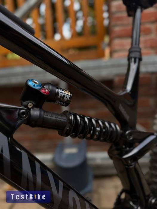 Canyon Torque CF8 Mullett