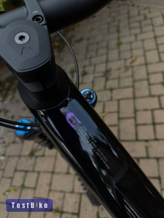 Canyon Torque CF8 Mullett