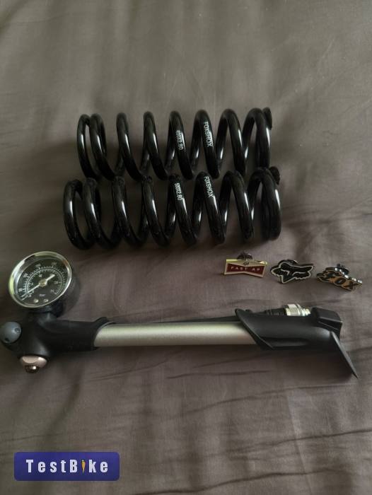 Canyon Torque CF8 Mullett