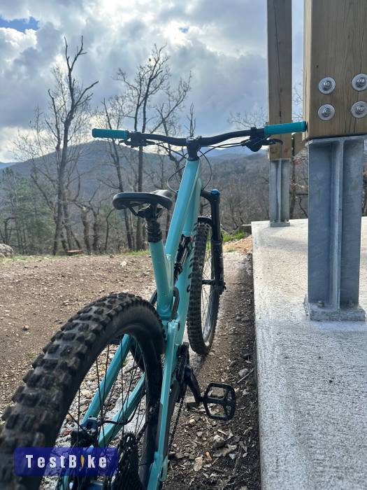 Canyon Torque 7 AL Medium