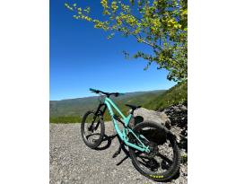 Canyon Torque M 