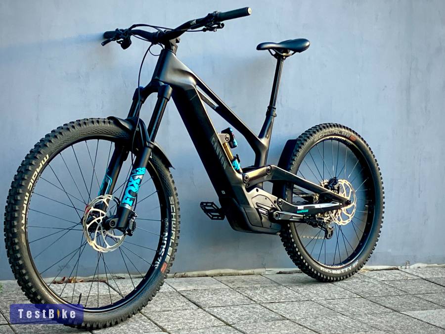 Canyon Torque:ON CF 8 Raw Carbon Edition /900Wh /180mm /Mullet