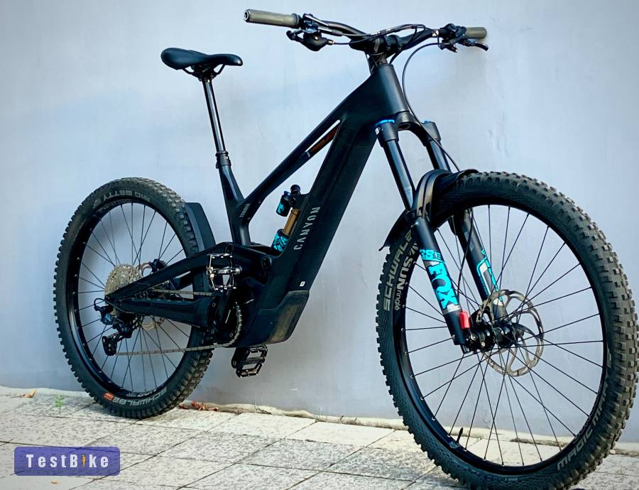 Canyon Torque:ON CF 8 Raw Carbon Edition /900Wh /180mm /Mullet