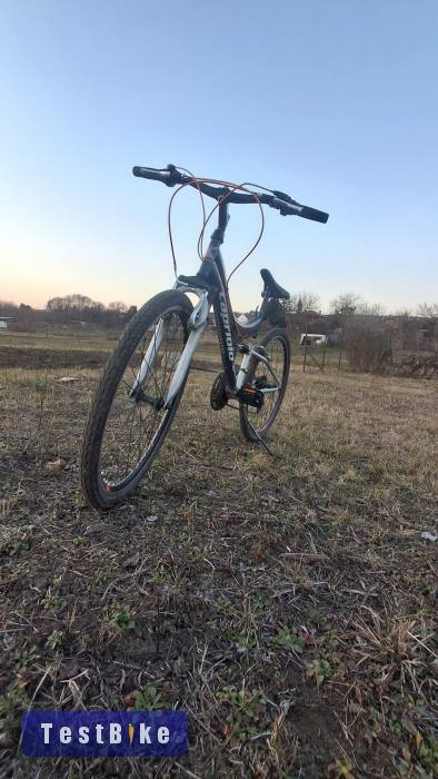 Capriolo CTX 260 mtb