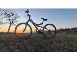 Capriolo CTX 260 mtb