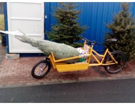 Cargo bike 