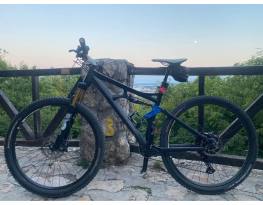 Carver Fully 29 Fox Factory