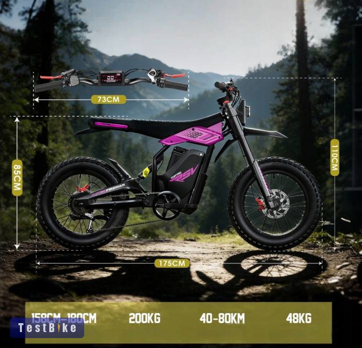 Cleytro fm110 ebike 
