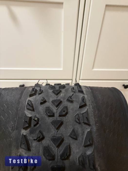 Continental Race King Protection TRL 29x2.2 (55-622)