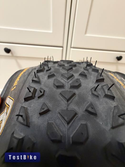 Continental Race King Protection TRL 29x2.2 (55-622)
