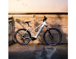 Corratec E-power X-vert cx6 ltd 29" Bosch cx 625wh