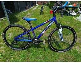 Corratec Teen x 24" 