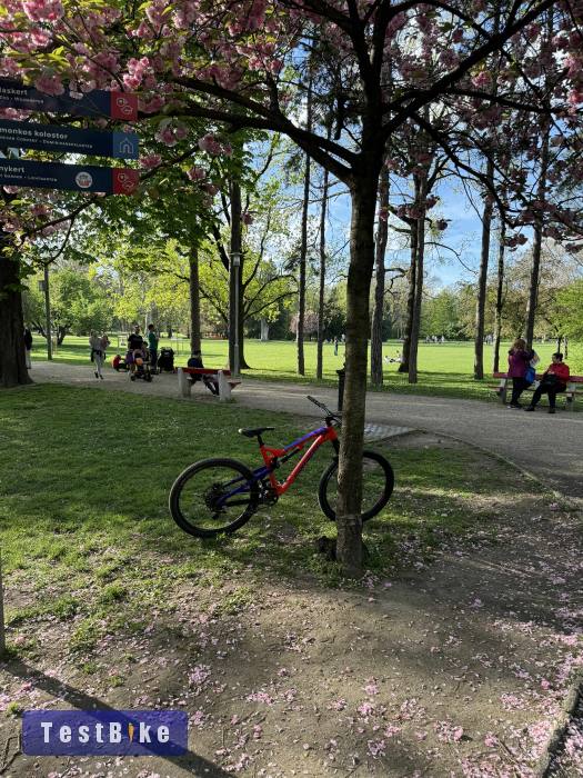 Corratec xtb 175x mtb 2018