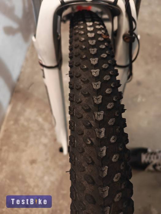 Csepel Woodlands 27.5