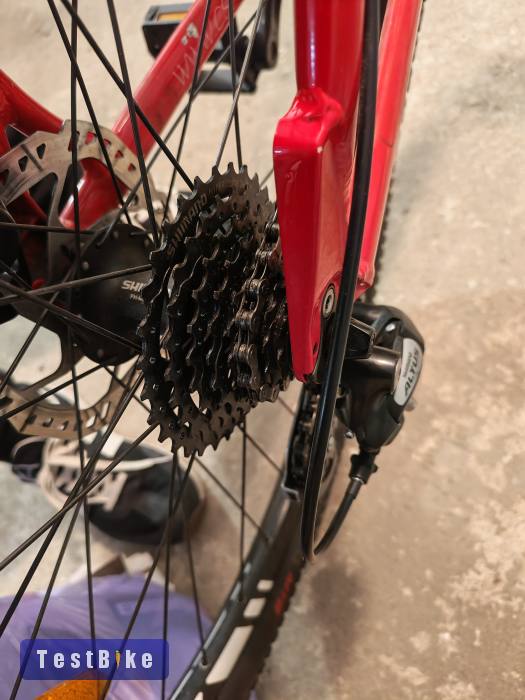 Csepel Woodlands 27.5