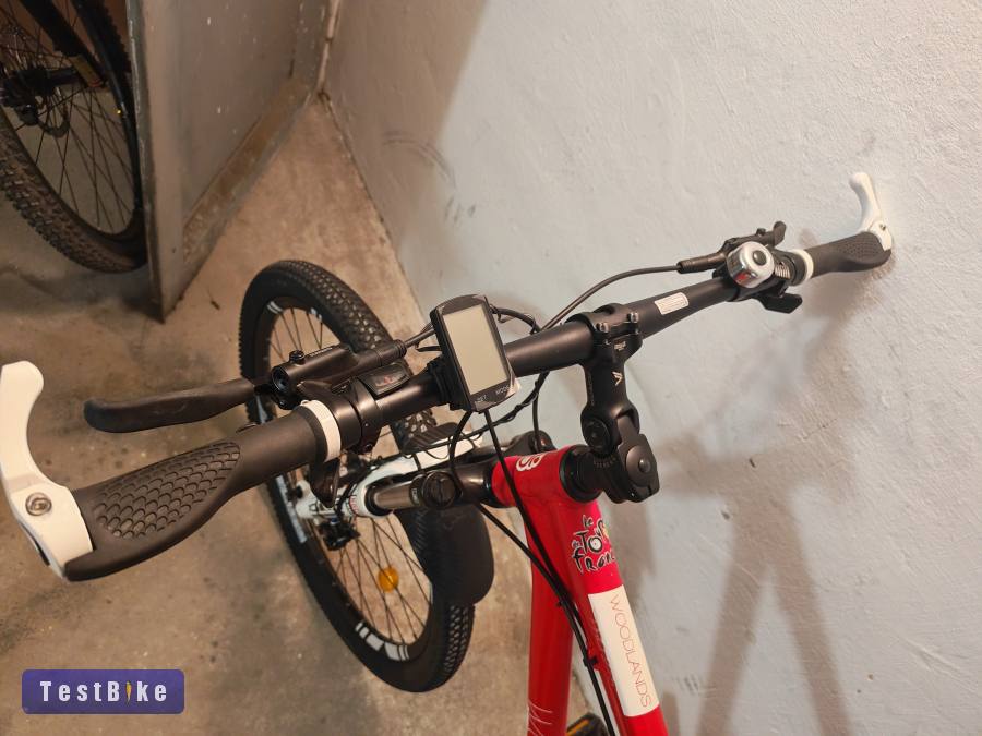 Csepel Woodlands 27.5