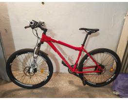 Csepel woodlands 27.5