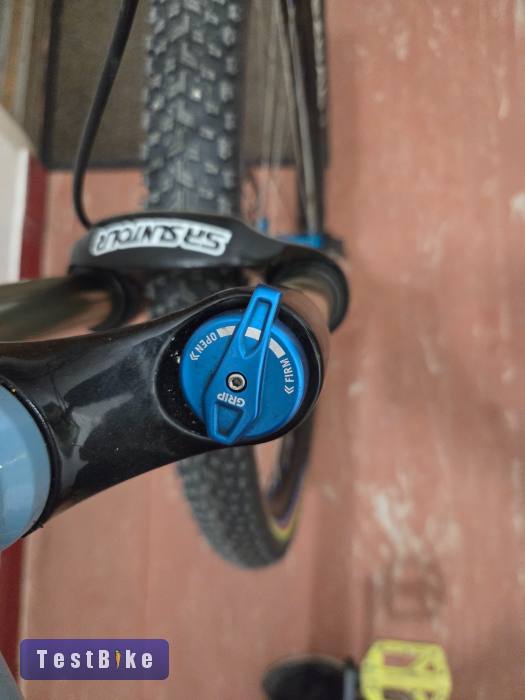 Csepel Woodlands Expert 29