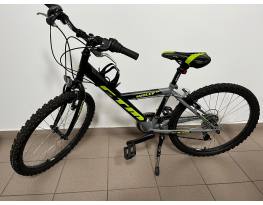 CTM Willi 24"