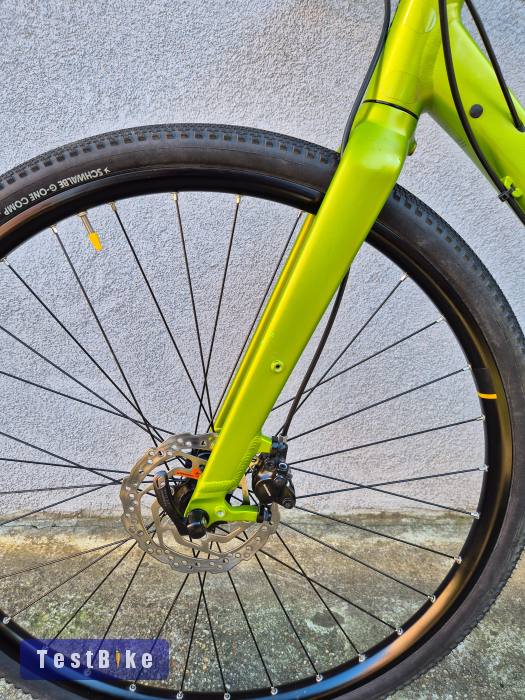 Cube Editor Race Alfine 8, Gates szijhajtás, 2025, S.