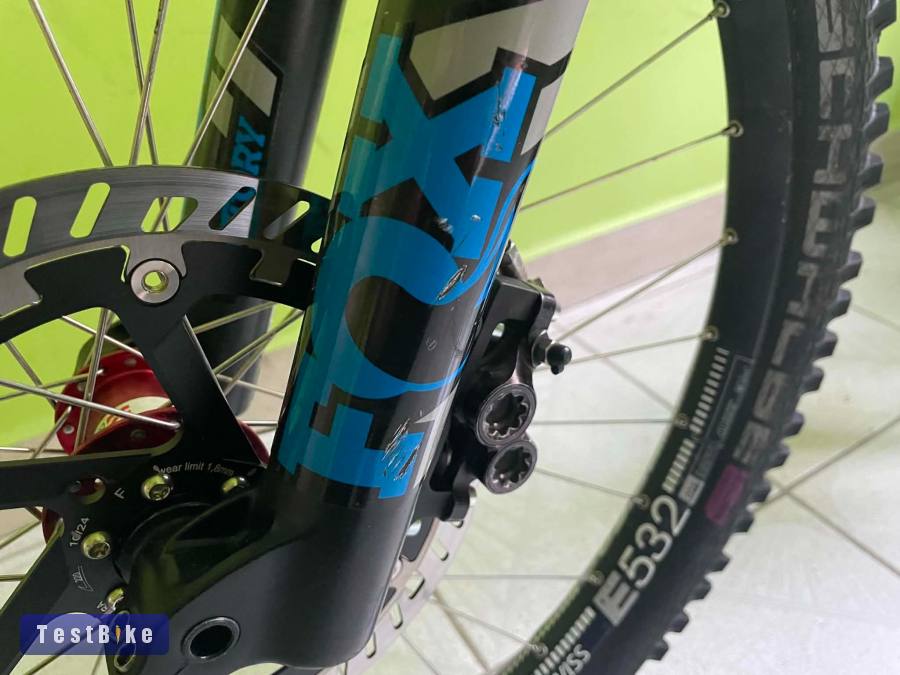 Dartmoor Blackbird 2020 L 27.5