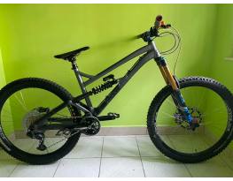 Dartmoor Blackbird 2020 L 27.5