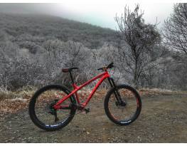 Dartmoor Hornet 27.5/27.5+ L - red devil
