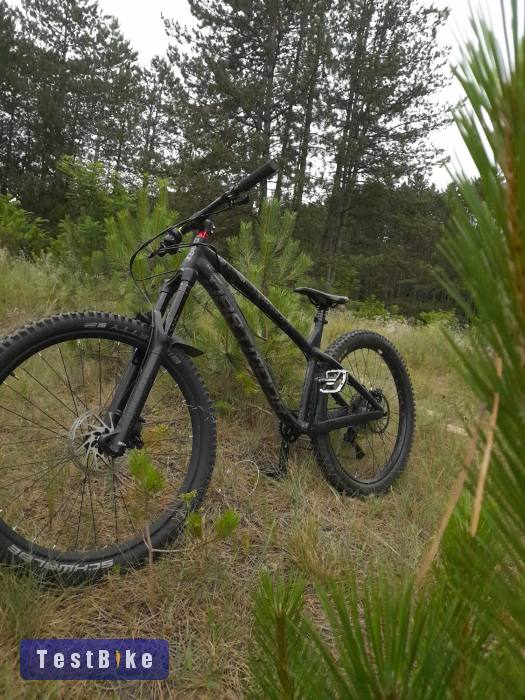 Dartmoor Hornet mtb hardtail
