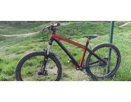 Dartmoor Primal 2015