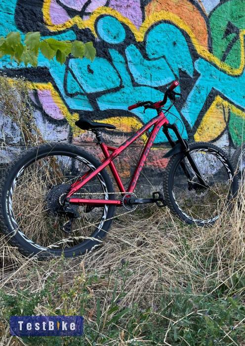 Dartmoor Primal 29 +Ajándékok