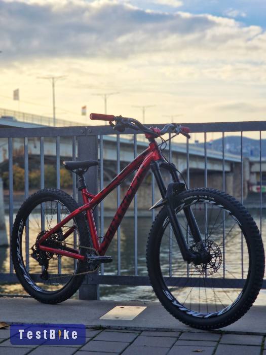 Dartmoor Primal 29