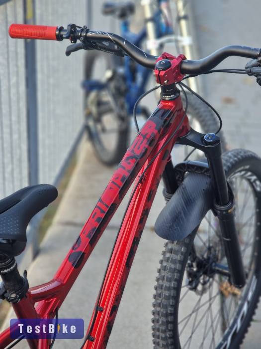 Dartmoor Primal 29