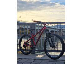 Dartmoor Primal 29