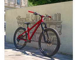 Dartmoor Primal 29