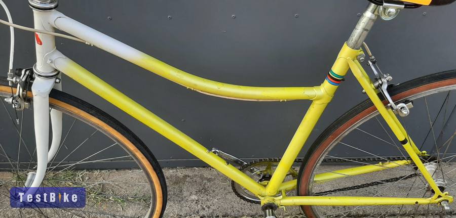 Dino Delloni single speed egysebességes városi kerékpár