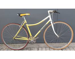 Dino Delloni single speed egysebességes városi kerékpár