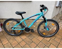 Dinotti 24” aluvázas gyermek kerékpár