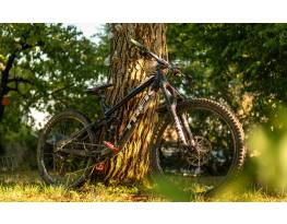 Eladó egyedi építésű Trek Fuel EX 5 29 (2017)